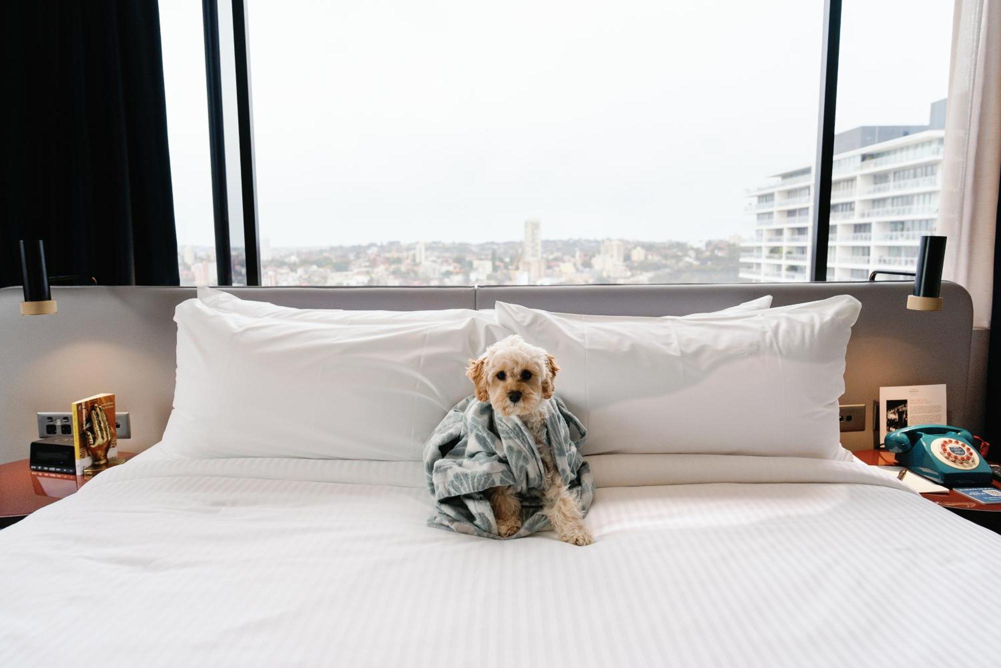 Hotel Indigo Sydney Potts Point By Ihg Exterior foto